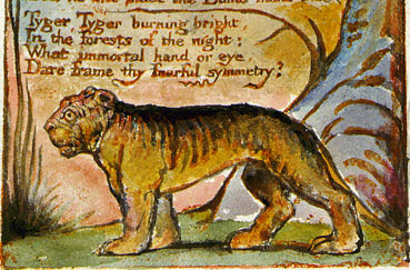 Blake's burning Tyger