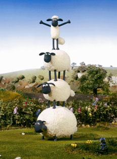 celebrating sheep