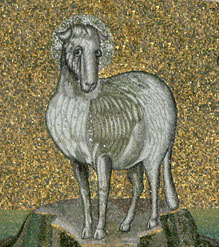 mosaic sheep