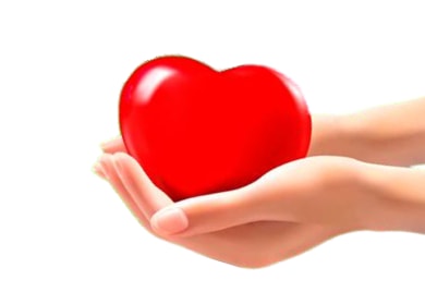 heart in hands
