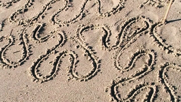 lines in the sand