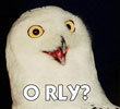 oh really? owl