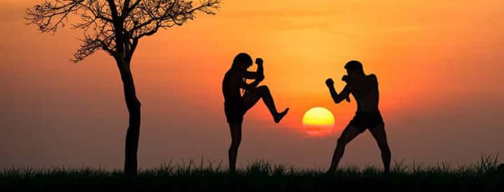 shadow fighters