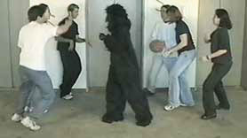 gorilla in the midst