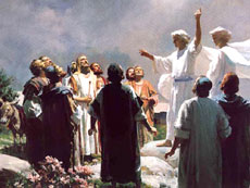 Ascension angels