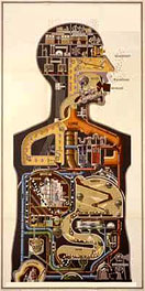 human insides, sort of