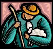 shepherd