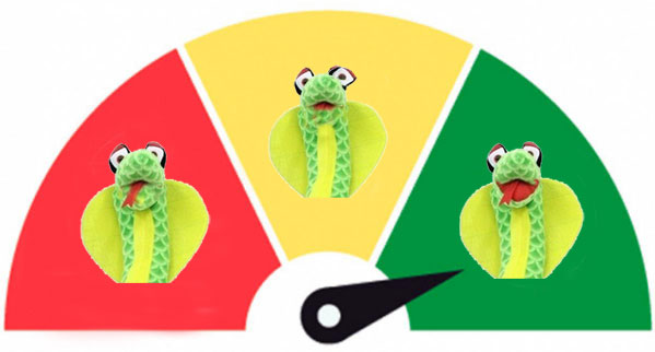 snake assessment scoring