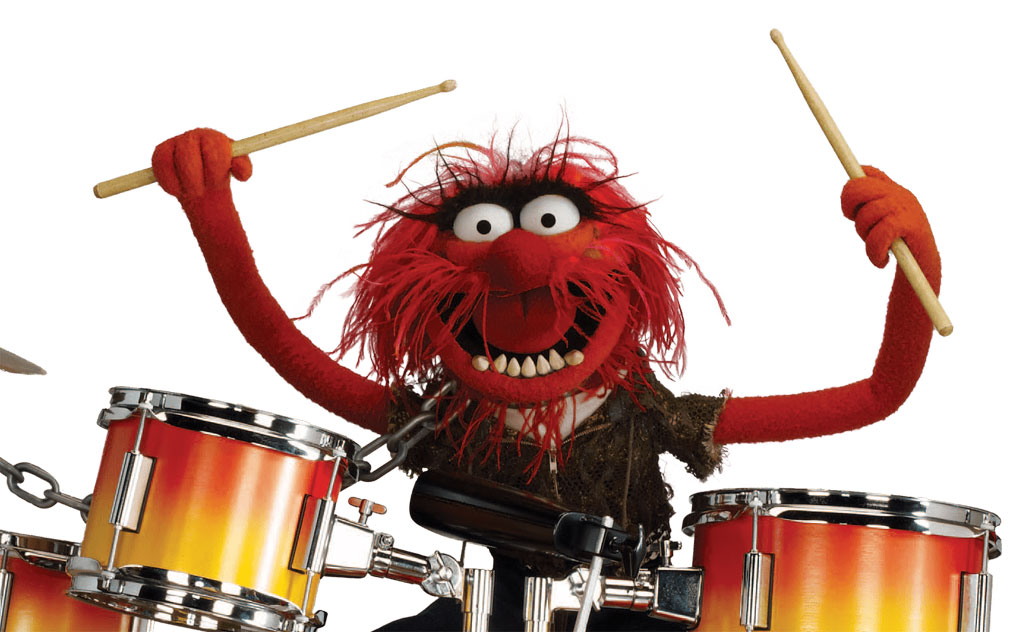 Animal as Drummer Boy