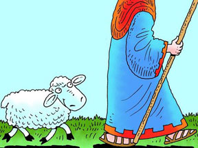 sheep following