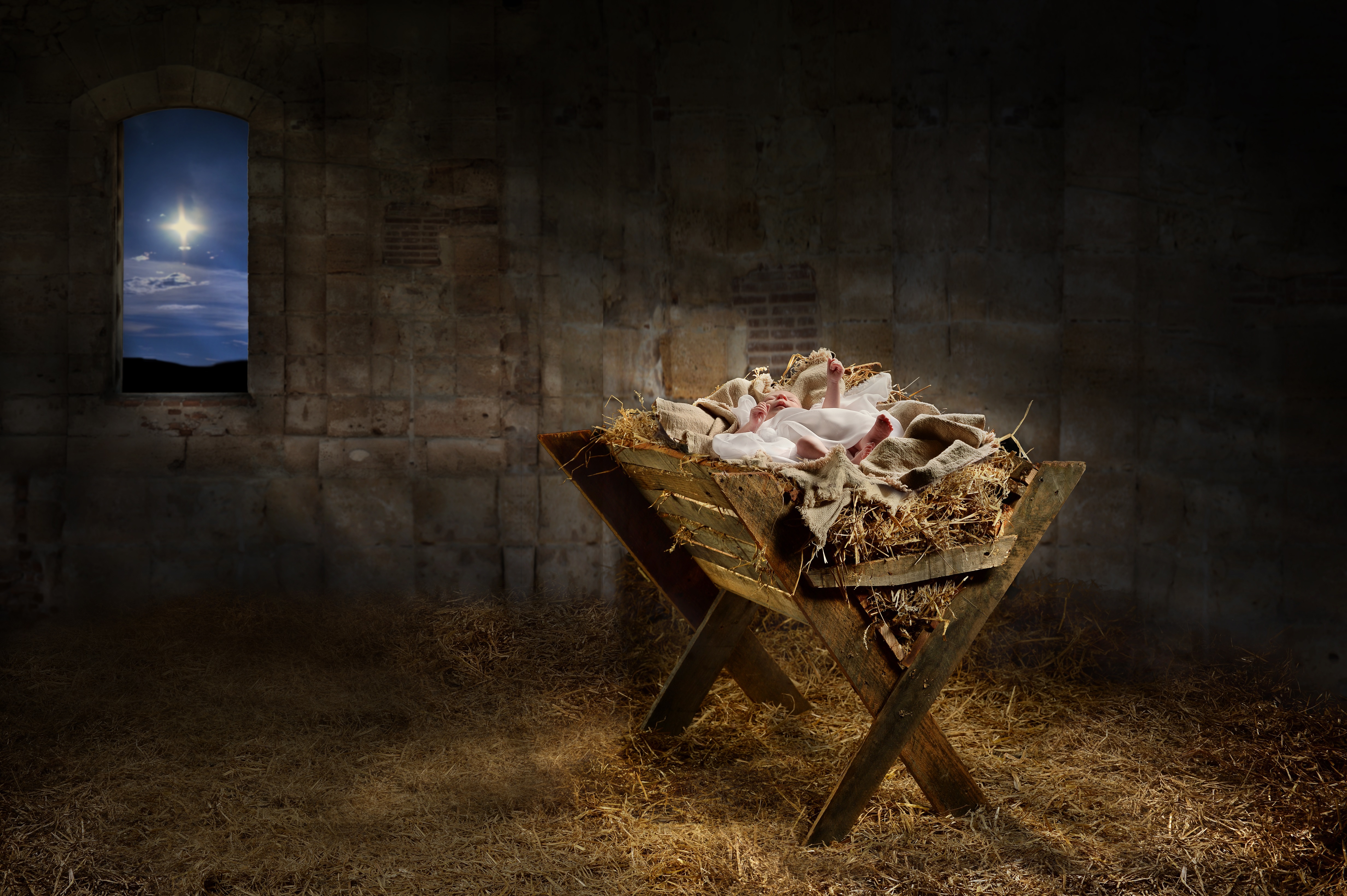 in a manger, in a stable